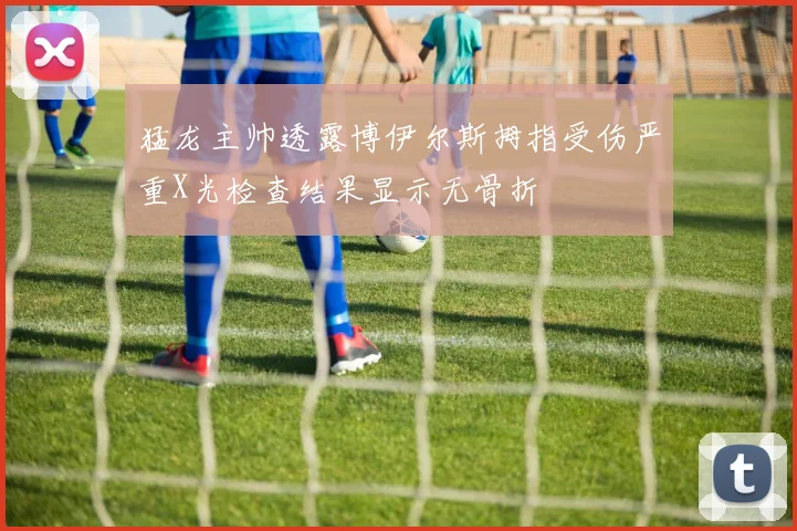 猛龙主帅透露博伊尔斯拇指受伤严重X光检查结果显示无骨折