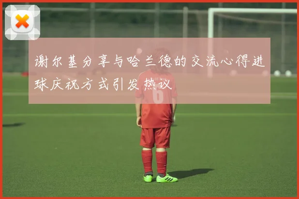 谢尔基分享与哈兰德的交流心得进球庆祝方式引发热议