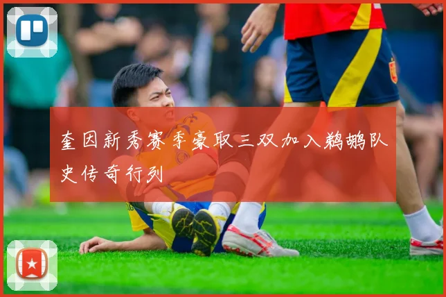 奎因新秀赛季豪取三双加入鹈鹕队史传奇行列