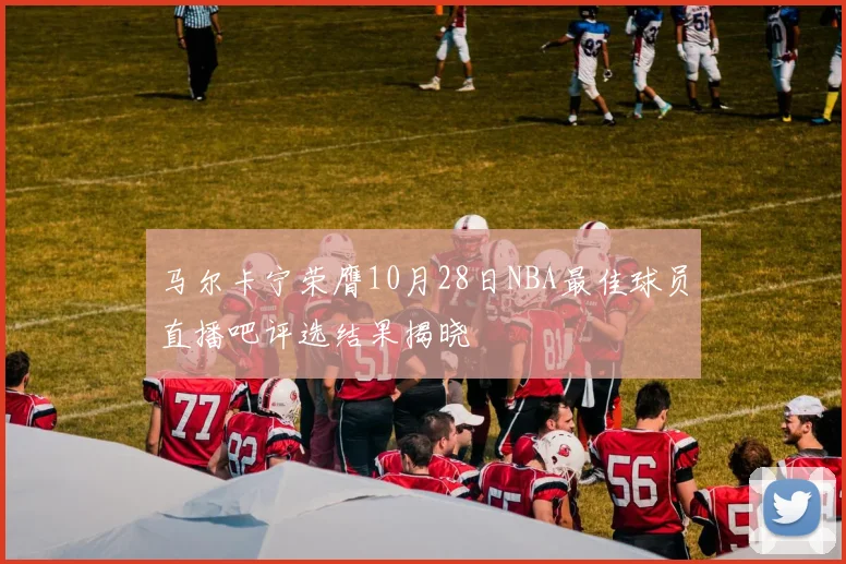 马尔卡宁荣膺10月28日NBA最佳球员直播吧评选结果揭晓