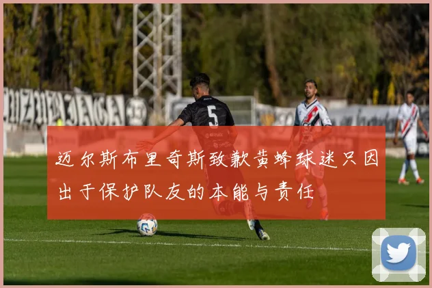 迈尔斯布里奇斯致歉黄蜂球迷只因出于保护队友的本能与责任