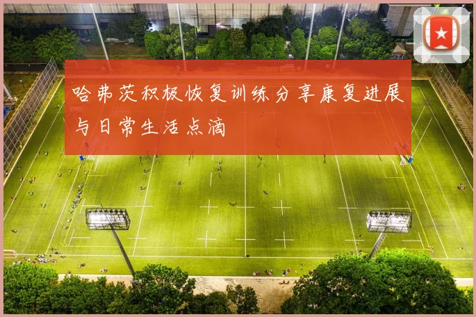 哈弗茨积极恢复训练分享康复进展与日常生活点滴